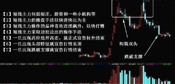 深度解析：醉天下七星坛副本高效通关技巧与策略全介绍