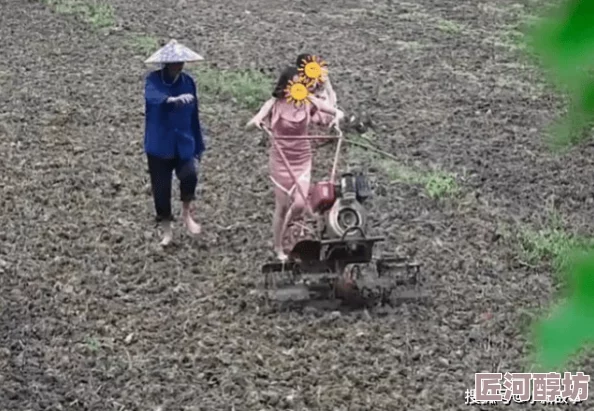 农村干活荡女淫春在线观看画面真实感强，演员表现自然流畅，剧情紧凑引人入胜