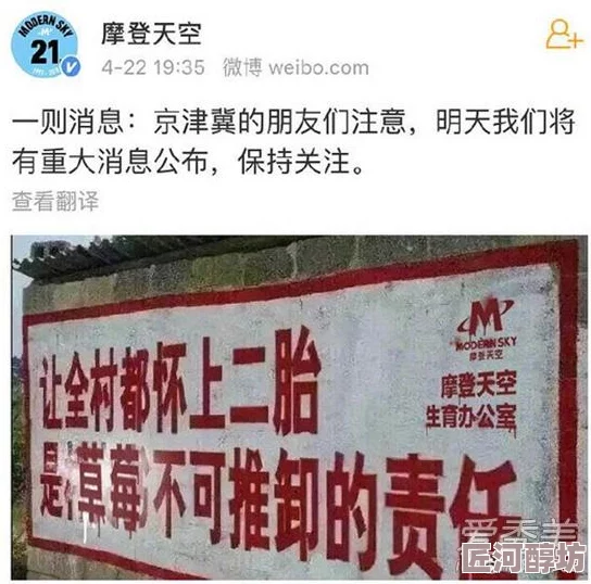 草莓视频网站内容低俗，画质差，浪费时间