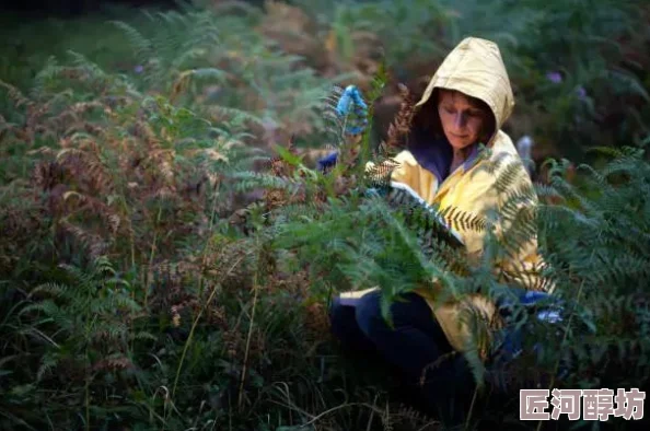 植物学家的中国女儿画面唯美剧情感人展现了跨文化爱情