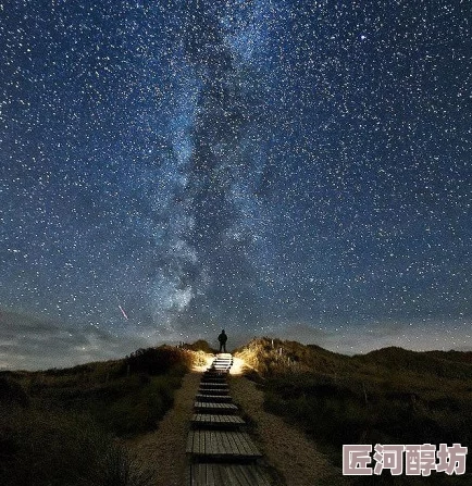 天美麻花星空高清mv为什么展现了真挚的情感与梦想为何能引起观众共鸣