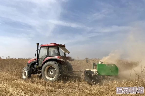 为何《久草视频免费》如此受青睐  免费加便捷的使用方式使用户可以轻松观看视频