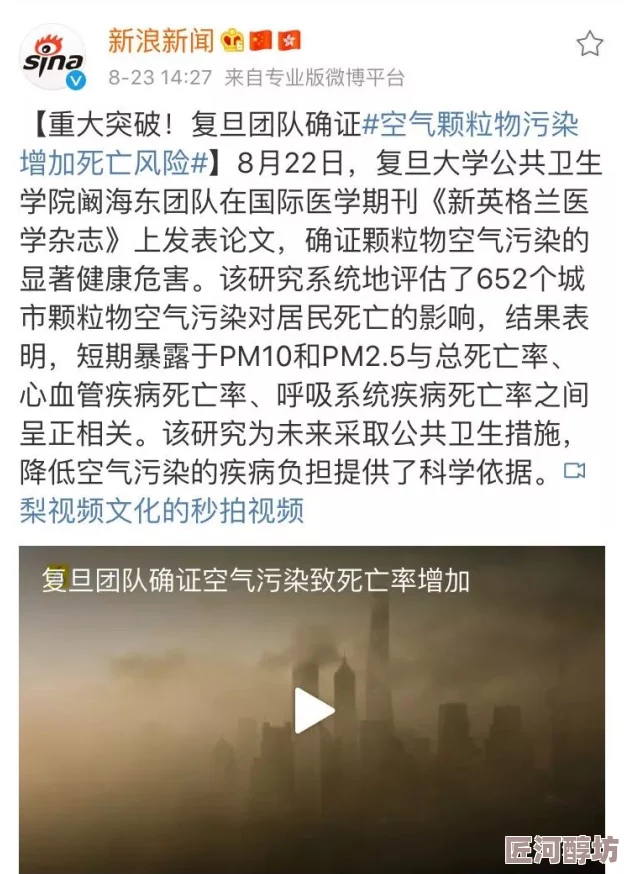 欧美成人一区二区三区为什么画面清晰体验良好选择多元成为热门之选