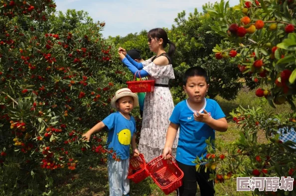 为什么中国熟老太HDt∪be备受欢迎因为它让观众看到了不同的人生阶段和生活智慧