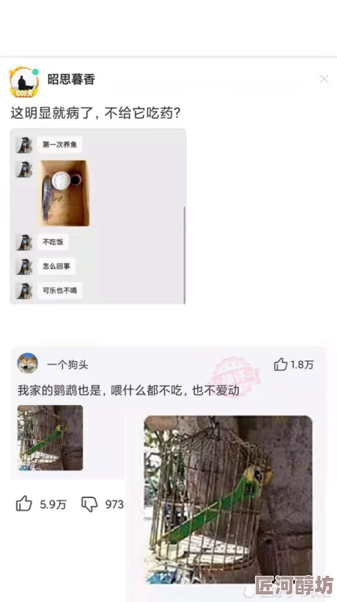 为什么婉莹被十七个男人玩弄引发热议因为其情节离奇引发网友好奇