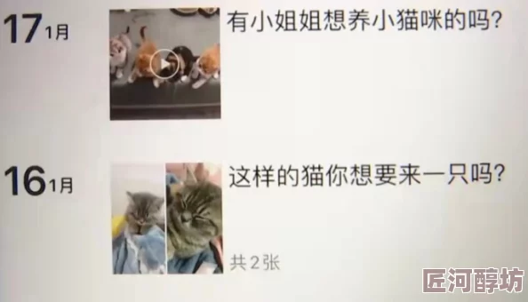 养猫对女生下面的危害网友称没科学依据纯属谣言