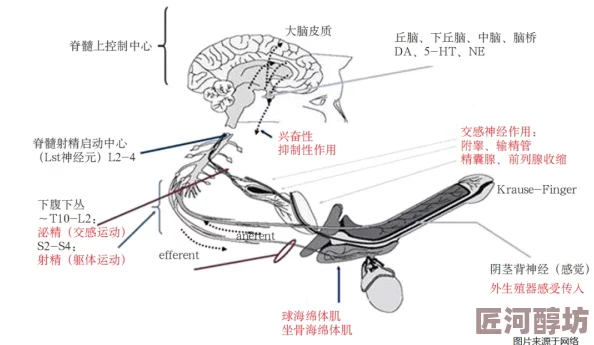 老汉体内射精联网版震撼发布引发全球AI热潮