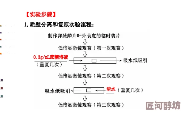 深入探索：拯救细胞玩法全面介绍及趣味性分析